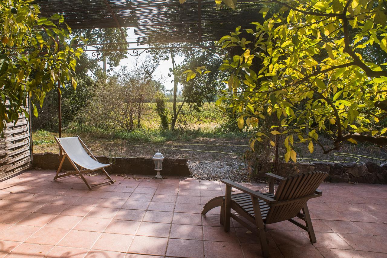 Ferienwohnung Domaine De La Marseillaise La Crau Exterior foto